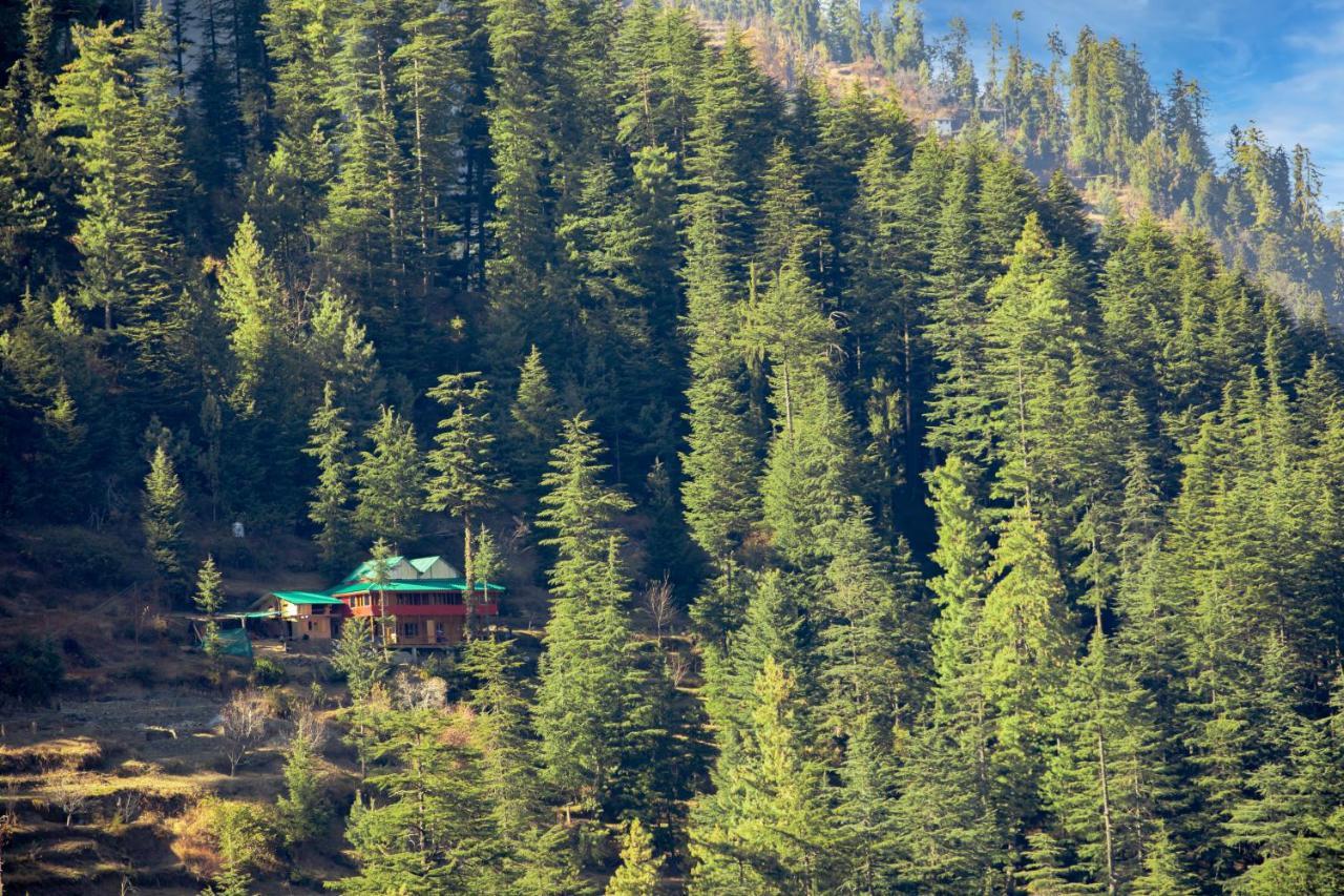Freebird Nest Jibhi Hotel Exterior photo