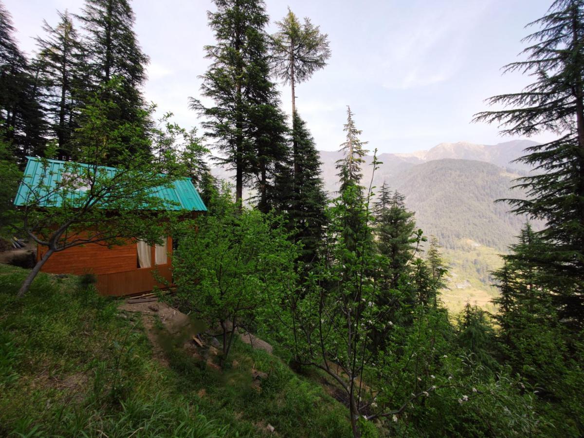 Freebird Nest Jibhi Hotel Exterior photo
