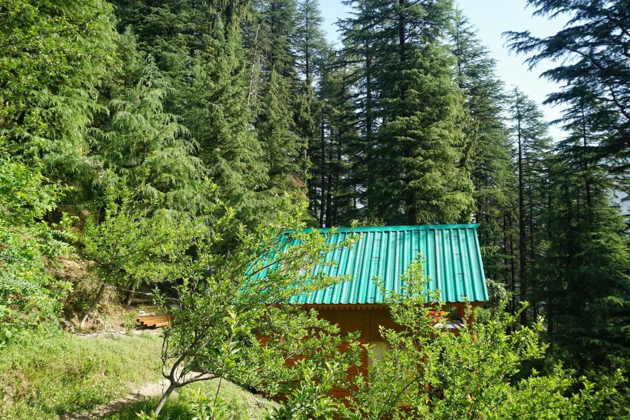 Freebird Nest Jibhi Hotel Exterior photo